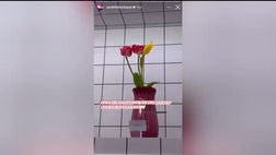 VIDEO – De Rossi, messaggio d’amore della moglie: fiori giallorossi in Giappone