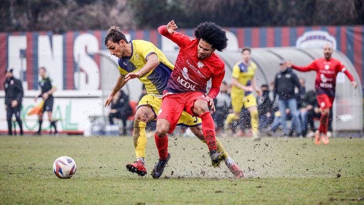 Serie D, domani si torna in campo per la venticinquesima giornata. Spicca il big match Treviso-Adriese - immagine 1