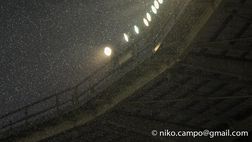 Segna Glik, poi il diluvio!
