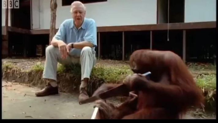 Napoli-Bologna, il Liveblog: “De Laurentiis che osserva Calzona lavorare” - immagine 1