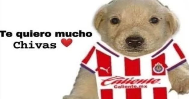 Harry Potter…uova e salsiccia: derby di Guadalajara, meme per tutti i gusti…- immagine 4