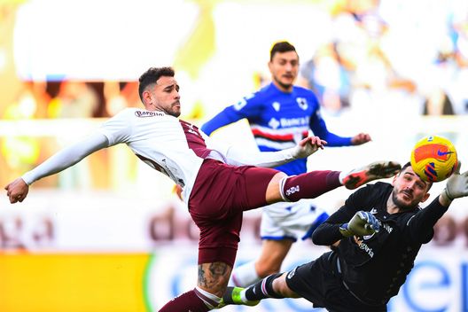 GENOA, ITALY - JANUARY 15: Wladimiro Falcone of Sampdoria (L) saves on Antonio Sanabria of Torino during the Serie A match between UC Sampdoria and Torino FC at Stadio Luigi Ferraris on January 15, 2022 in Genoa, Italy. (Photo by Getty Images)