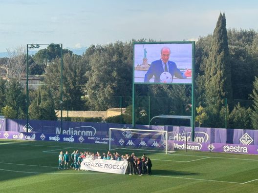 Commisso Viola Park