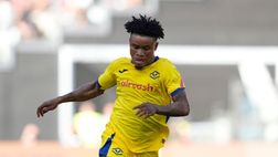 Pisa-Verona, le formazioni ufficiali. Giovane con Orban, Fallou e Frese sulle corsie