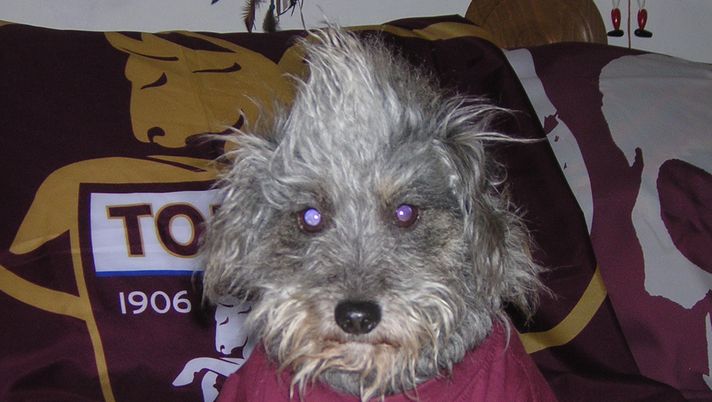 Il nostro Mister e Simona non sono parenti - immagine 1