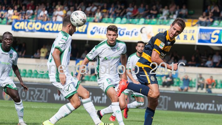 Ascoli-Verona, le formazioni ufficiali  Ascoli-Verona, le formazioni ufficiali - immagine 1