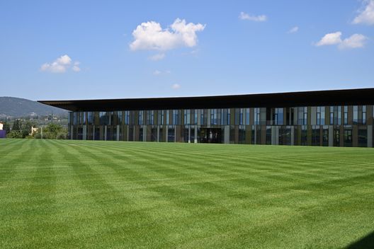 Under 23 per la Fiorentina, Barone mette i paletti. 0 Euro sul Padovani- immagine 2