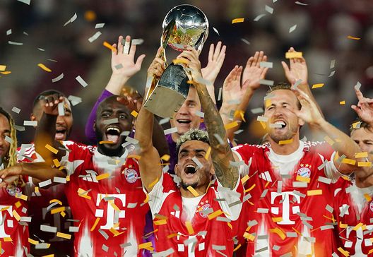 Wehen-Bayern Monaco, dove vedere la partita in diretta tv e streaming live- immagine 4