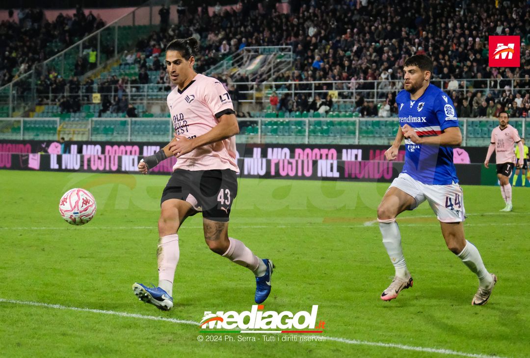 FOTO Palermo – Sampdoria Serie B 2024/25 - immagine 38