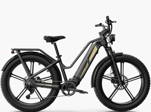 Perché una bici cargo elettrica è la migliore soluzione per trasportare merci in città- immagine 3