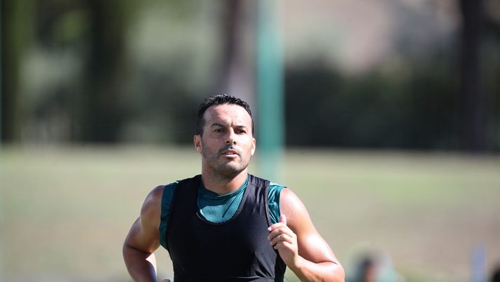 Pedro