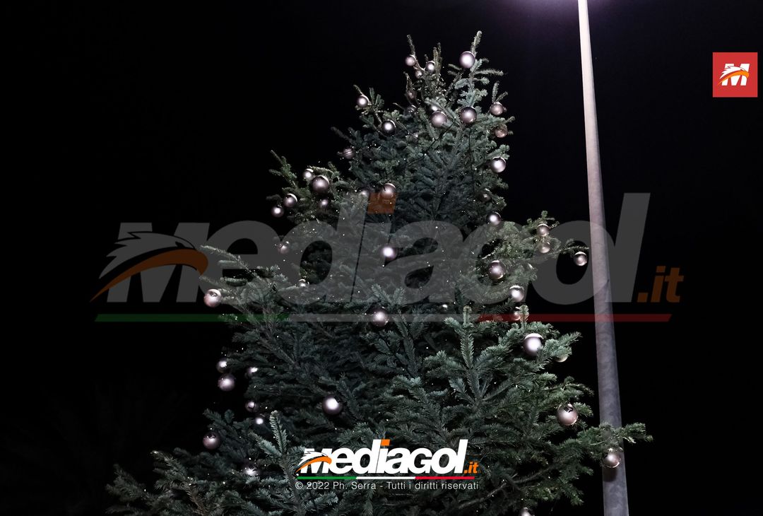 FOTO Palermo: Accardi, Saric e Gomes accendono l’albero al ‘Barbera’ (Gallery) - immagine 57