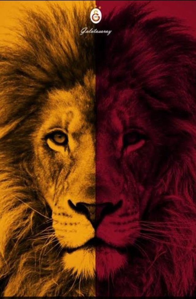 Galatasaray, il derby continua: “Fenerbahce e Besiktas, mettetevi in testa che…”- immagine 2