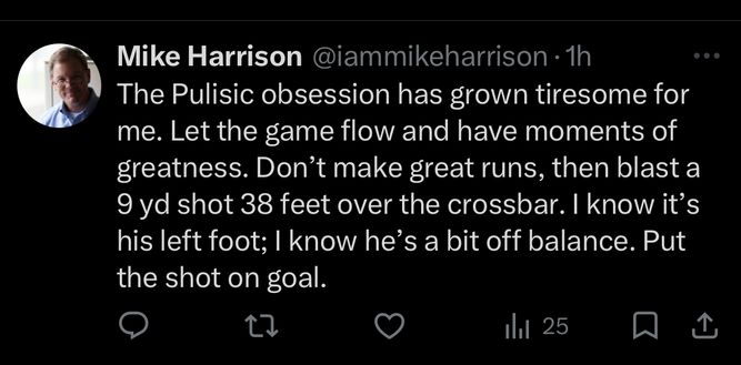 I tifosi americani si scagliano contro Pulisic: “Non può incolpare nessuno se non sé stesso”- immagine 3