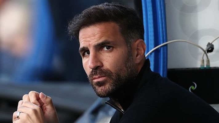 Il presidente del Como non molla Fabregas: “Con lui un percorso lungo, non andrà via” - immagine 1