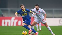 Cataldi e la responsabilità della squadra: anche i giocatori hanno colpe