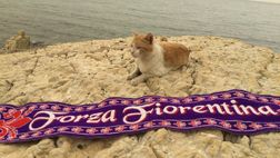 Il Giglio chiede calma e umiltà per affrontare la Cremonese (VIDEO)