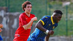 Verona-Top22 Dilettanti, gli highlights