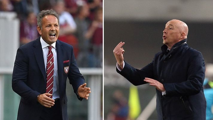 Torino-Chievo: equilibrio totale nei precedenti tra Mihajlovic e Maran - immagine 1