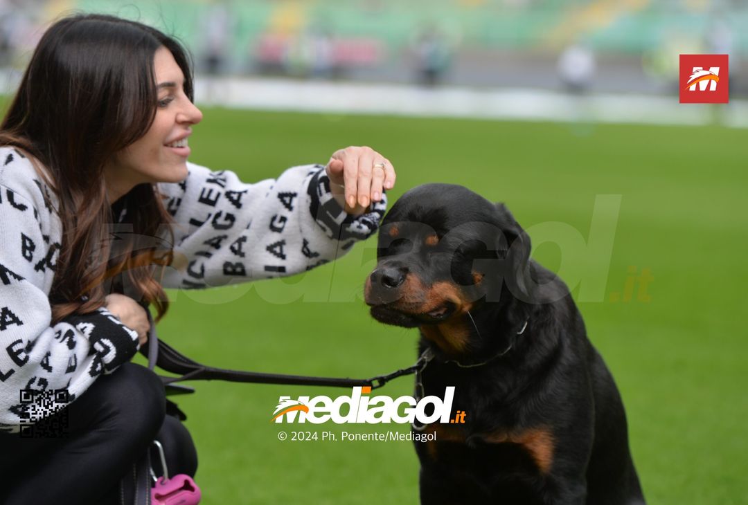 FOTO Palermo-Modena 4-2, 21ª giornata Serie B 2023-2024 (GALLERY) - immagine 83