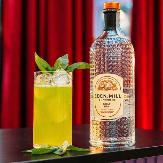 World Gin Day: ecco i cinque drink ispirati all’Italia verso gli Europei- immagine 10