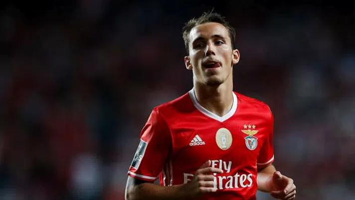 grimaldo napoli