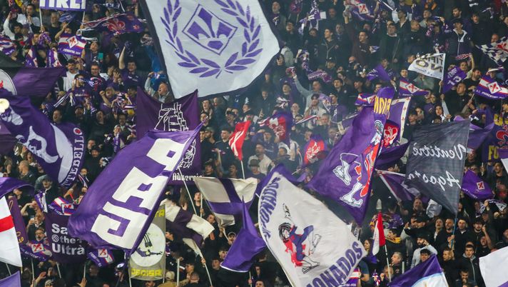 Fiorentina-Bologna: al Franchi non sarà sold-out. Il punto sugli spettatori - immagine 1
