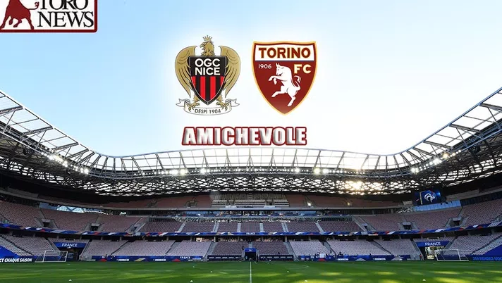 FINALE! Nizza-Torino 1-0 - immagine 1
