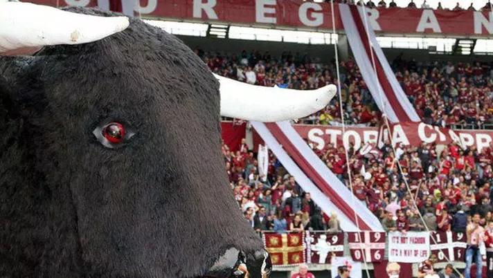 Questo è un Toro con gli attributi! - immagine 1