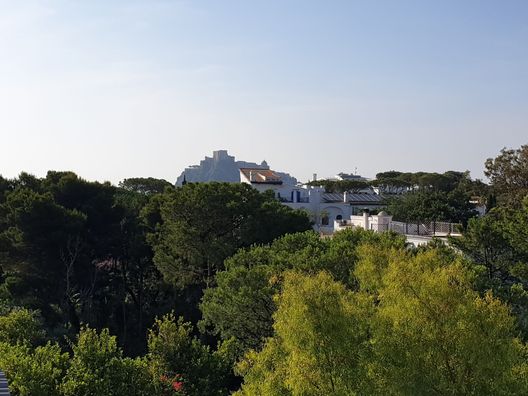 Ischia dopo la promozione, è derby fra il calcio maschile e quello femminile- immagine 2