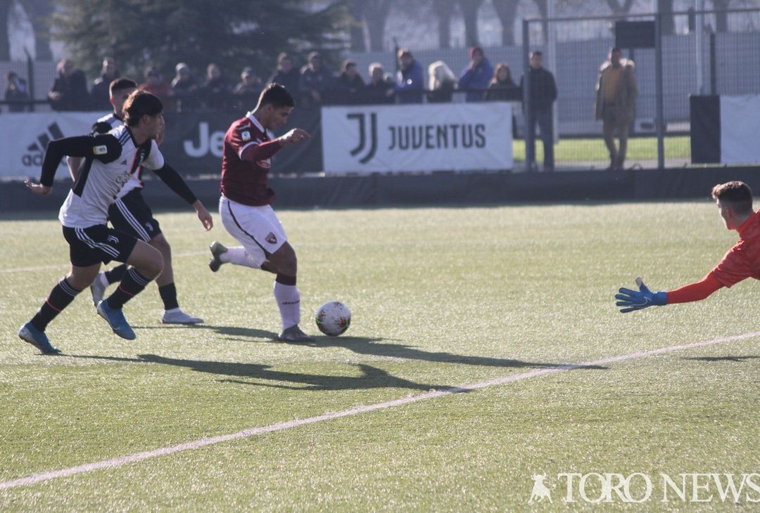 Rauti Torino Primavera