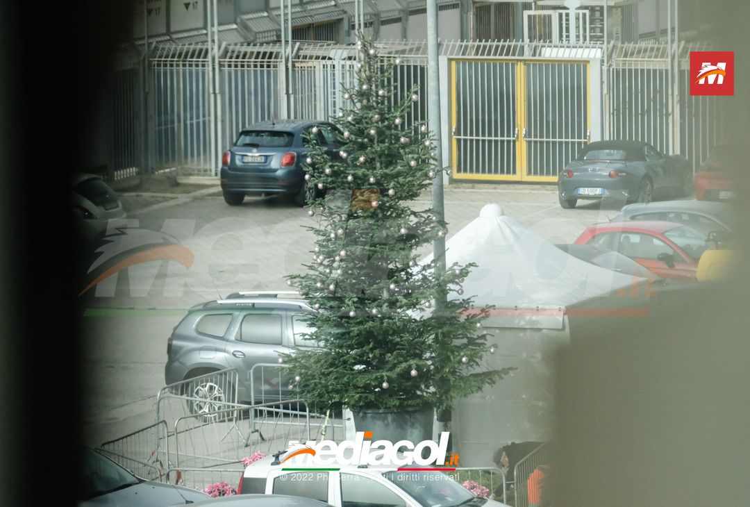 FOTO PALERMO, albero di Natale allo Stadio ‘Renzo Barbera’ (Gallery) - immagine 9