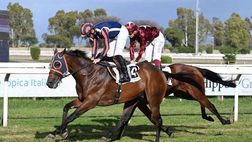 Sconfitto in volata Mr. Darcy: secondo posto per il cavallo di Allegri