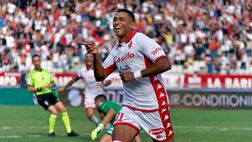 Udinese – Caso Cheddira: parla l’agente Bruno Di Napoli! Le parole