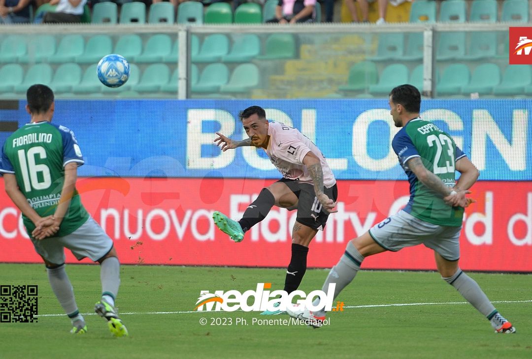 FOTO Palermo-Feralpisalò 3-0, 4ª giornata Serie B 2023-2024 (GALLERY) - immagine 41