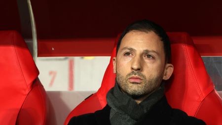 Domenico Tedesco, Ct Belgio