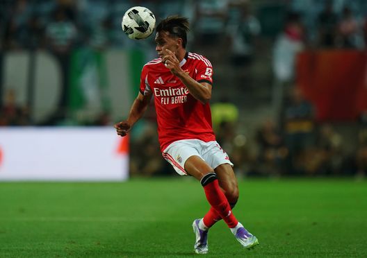 Il Benfica non ci sta e lancia l’allarme: “Criteri arbitrali troppo rigidi”- immagine 2