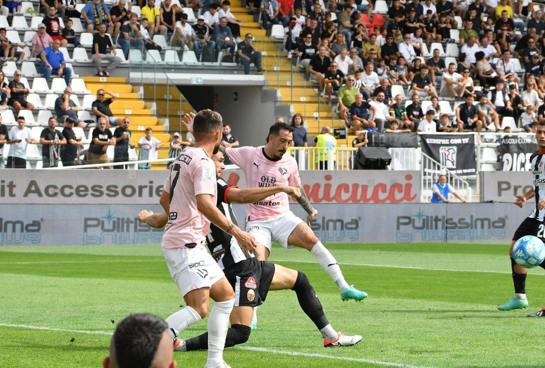 FOTO Ascoli-Palermo 0-1, 5ª giornata Serie B 2023-2024 (GALLERY) - immagine 22