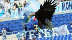 La Lazio presenta la nuova aquila e lancia il contest per scegliere il nome