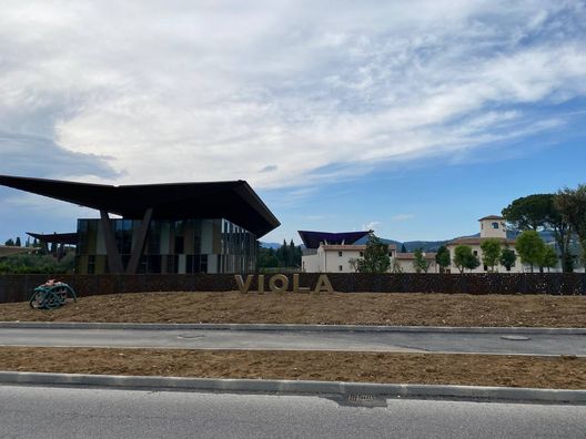 FOTO VIOLANEWS Fiorentina e Viola Park: i piani per il trasferimento del mondo viola- immagine 2