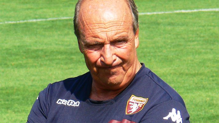 Frosinone-Torino, probabili formazioni: Belotti parte dalla panchina - immagine 1