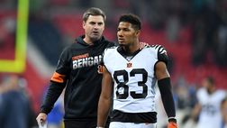 Steleers-Bengals live: streaming gratis e diretta TV del match di NFL