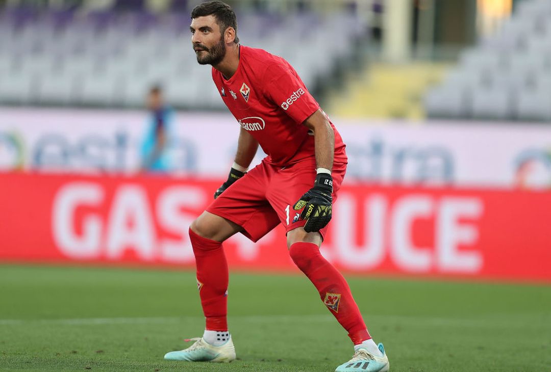 Fotogallery – Fiorentina-Torino 2-0: le immagini del match - immagine 38