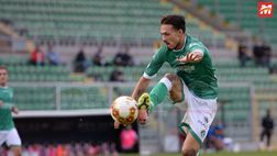 Palermo, da Di Gaudio a Silvestri: al “Barbera” arriva l’Avellino “dei palermitani”
