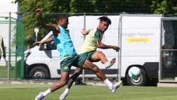 Verona verso il Cagliari, martedì la ripresa degli allenamenti