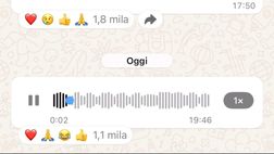 AUDIO Udine è azzurra! Il Napoli condivide sui social il coro dei tifosi
