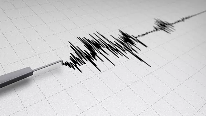 Terremoto a Napoli, scossa di magnitudo 2.4 avvertita dalla popolazione: ecco dove - immagine 1