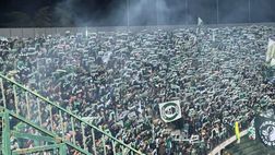 Avellino, Curva Sud condanna foto Anna Frank con maglia Benevento nel derby