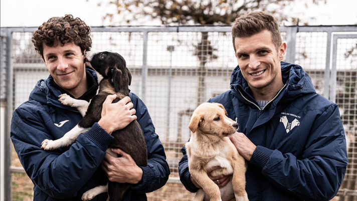 Hellas Verona FC  Verona con l’ENPA, l’Hellas in campo per i cuccioli - immagine 1