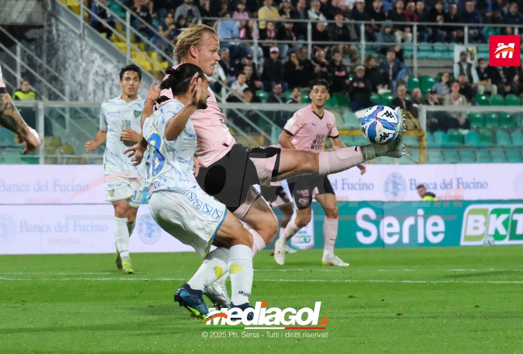 FOTO Palermo – Carrarese | Serie B 2024/25 - immagine 14